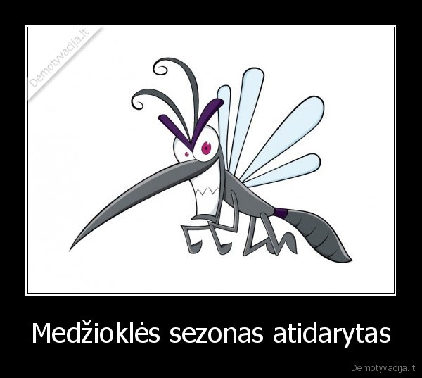 Medžioklės sezonas atidarytas