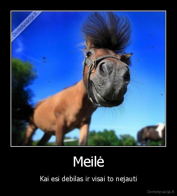 meile