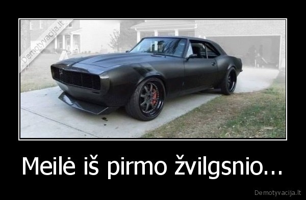 Meilė iš pirmo žvilgsnio...