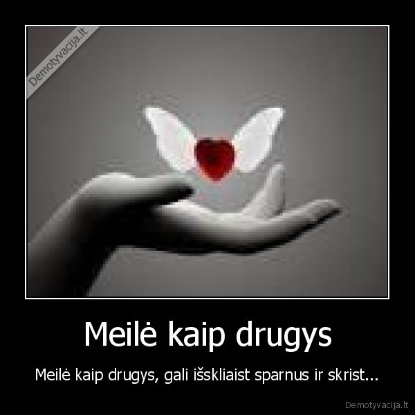 Meilė kaip drugys