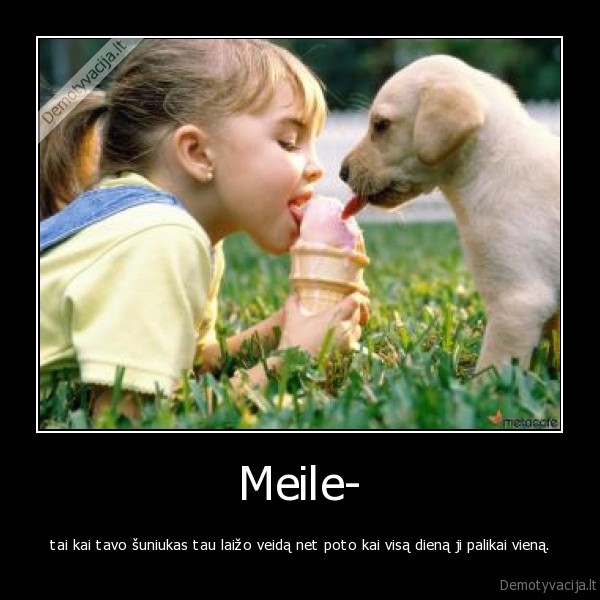 Meile-