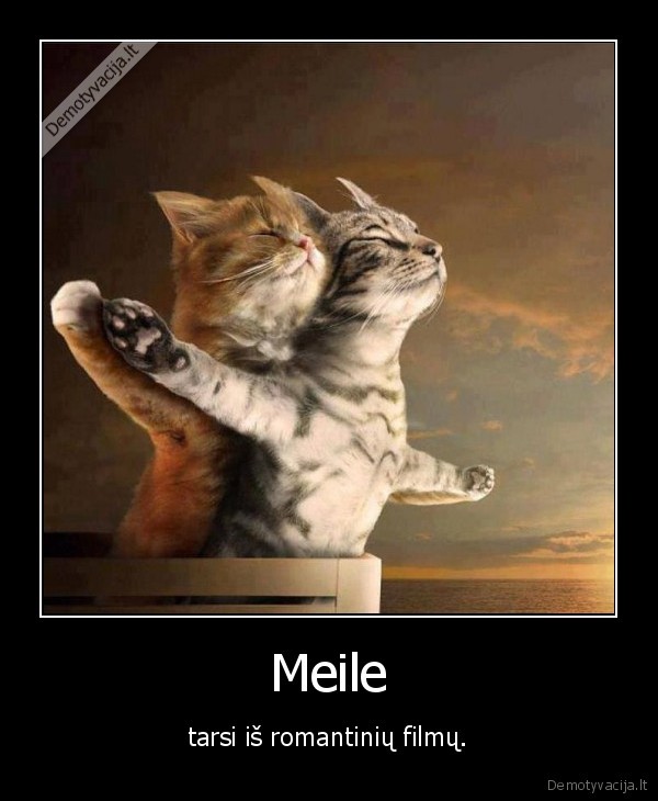 Meile