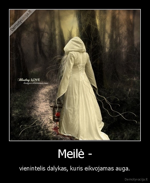 Meilė -