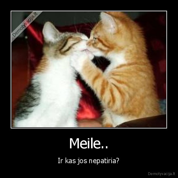 Meile..