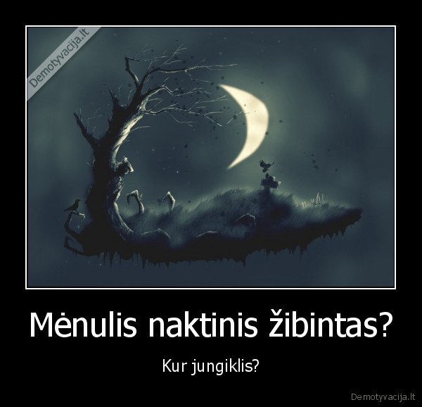 Mėnulis naktinis žibintas?