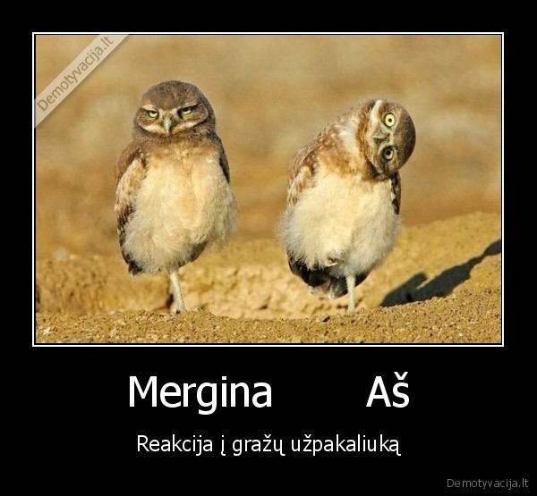 Mergina       Aš