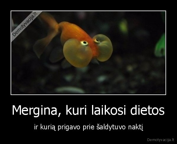 mergina,dieta,saldytuvas