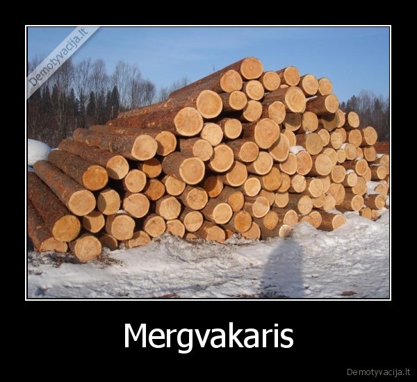 Mergvakaris