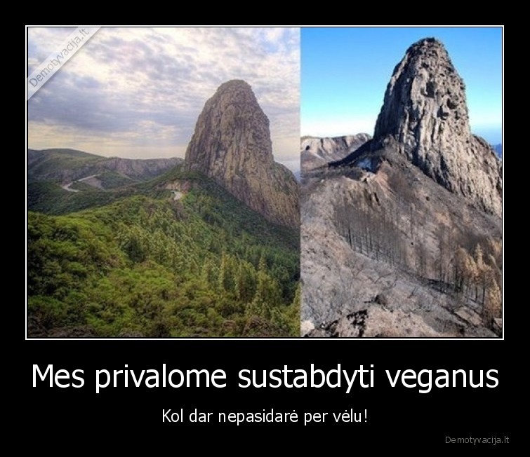 veganai,zaluma