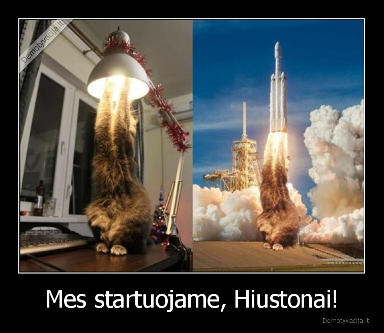 hiuston,hiustonai,mes,startuojam,katinas,raketa