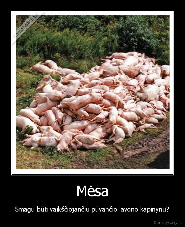 vegetarija,mesa