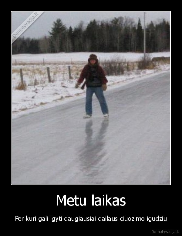 Metu laikas