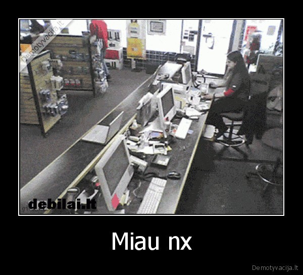 Miau nx