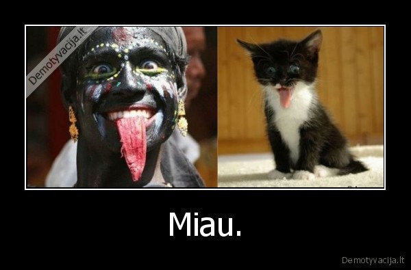 Miau.