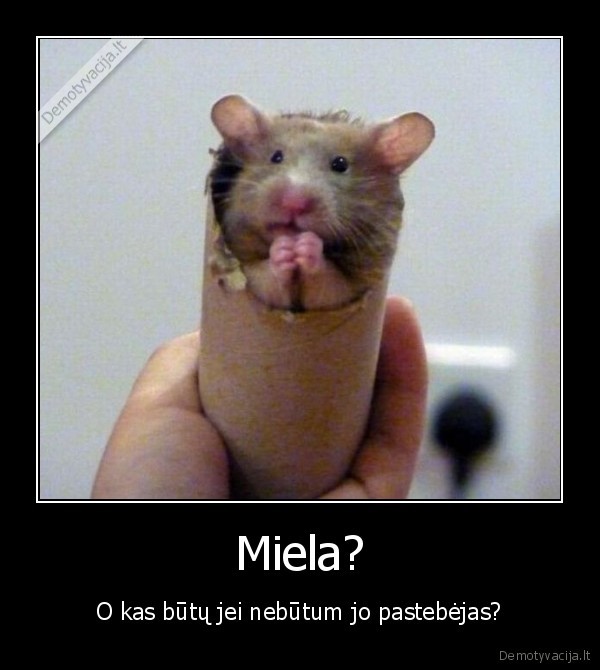 Miela?