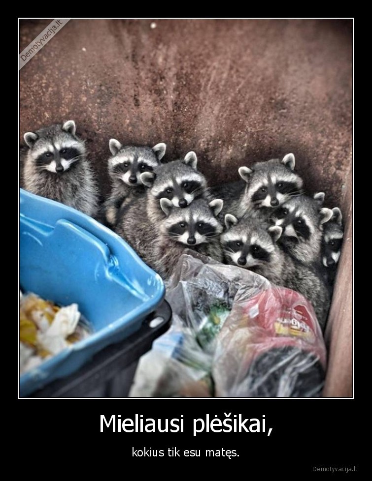 plesikas,meskenai,meskenas