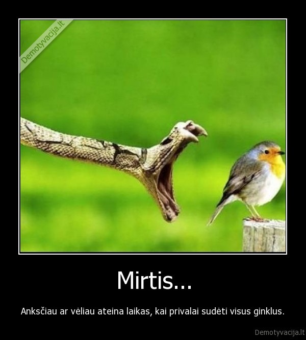 mirtis