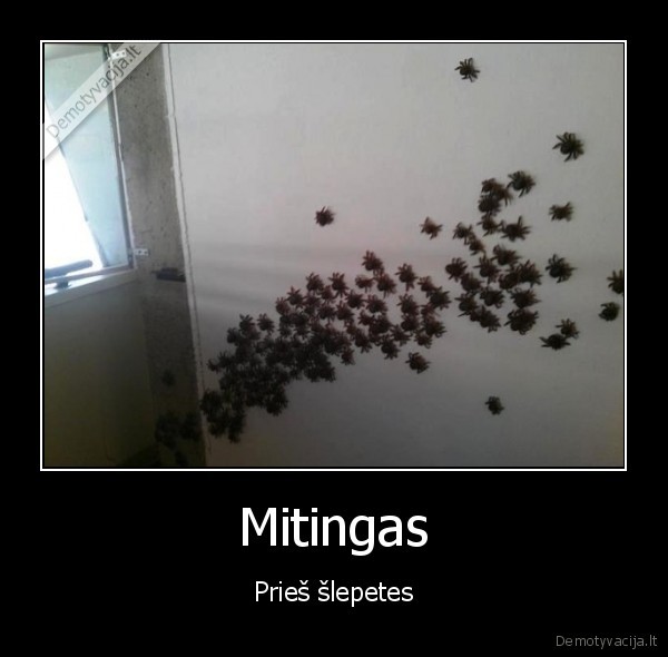 Mitingas