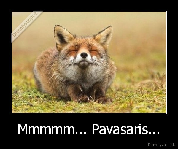 Mmmmm... Pavasaris...