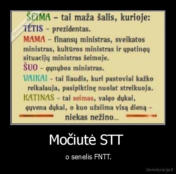 Močiutė STT 