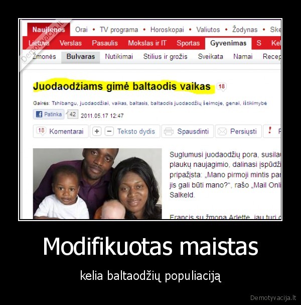 Modifikuotas maistas