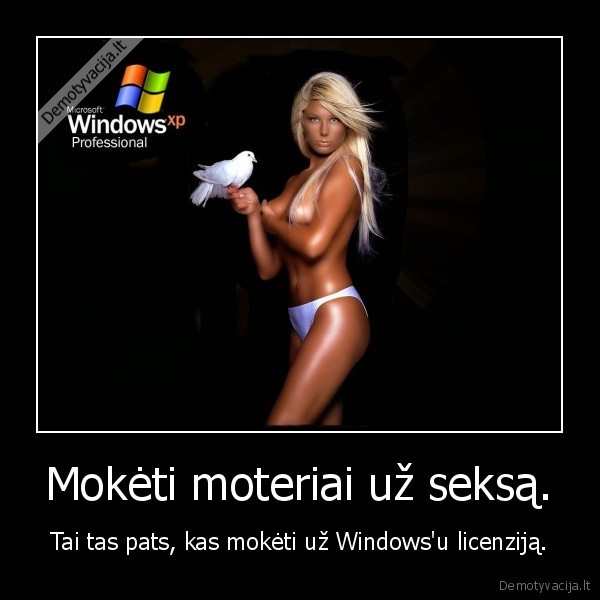 windowsu, meile