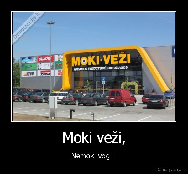 moki, vezi, nemoki, vogi