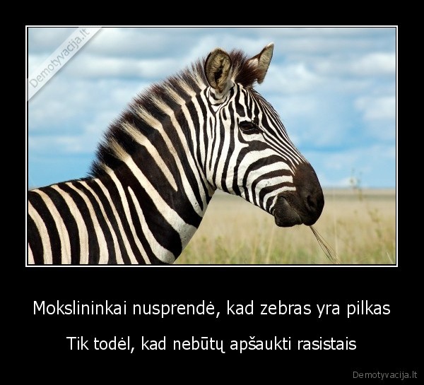rasizmas,pilkas, zebras