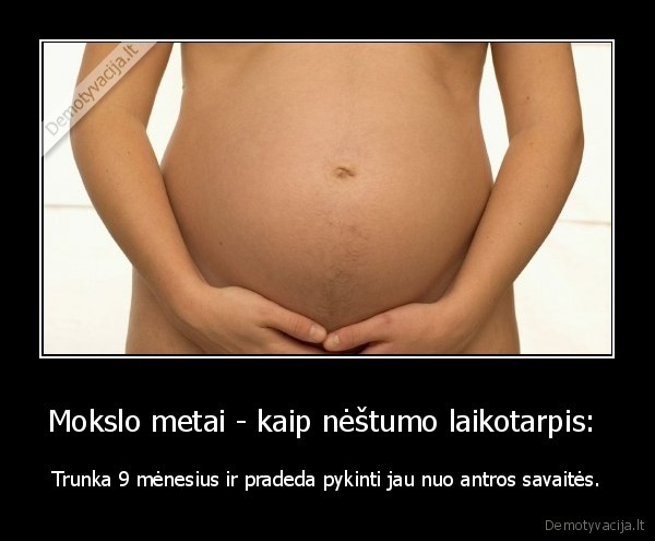 Mokslo metai - kaip nėštumo laikotarpis: 