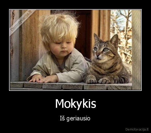 Mokykis