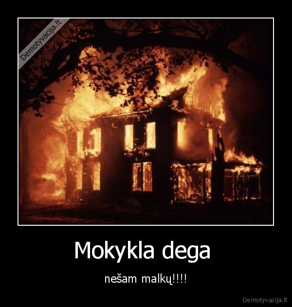 mokykla,malkos,kubilius, debilas