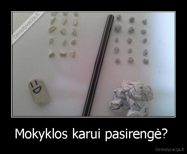 Mokyklos karui pasirengė? 