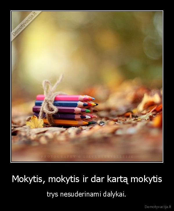 Mokytis, mokytis ir dar kartą mokytis