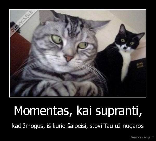 Momentas, kai supranti,