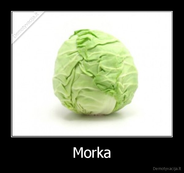 Morka