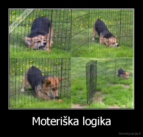 logika,moteris,suo