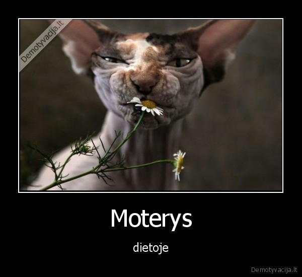 dieta,moterys