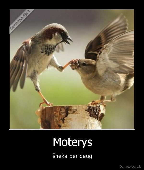 Moterys