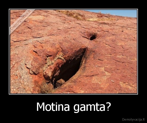 motina,gamta