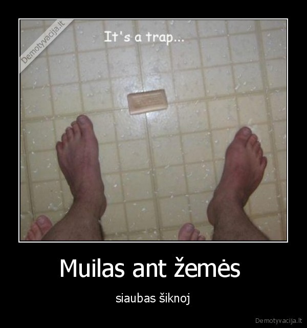 Muilas ant žemės 