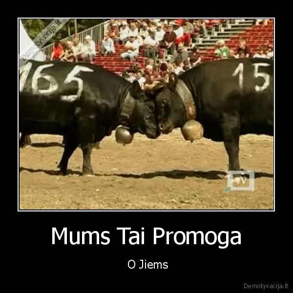 Mums Tai Promoga