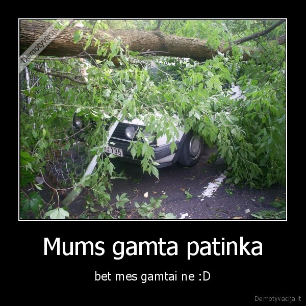 Mums gamta patinka