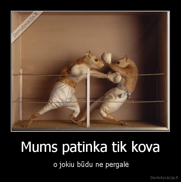 Mums patinka tik kova