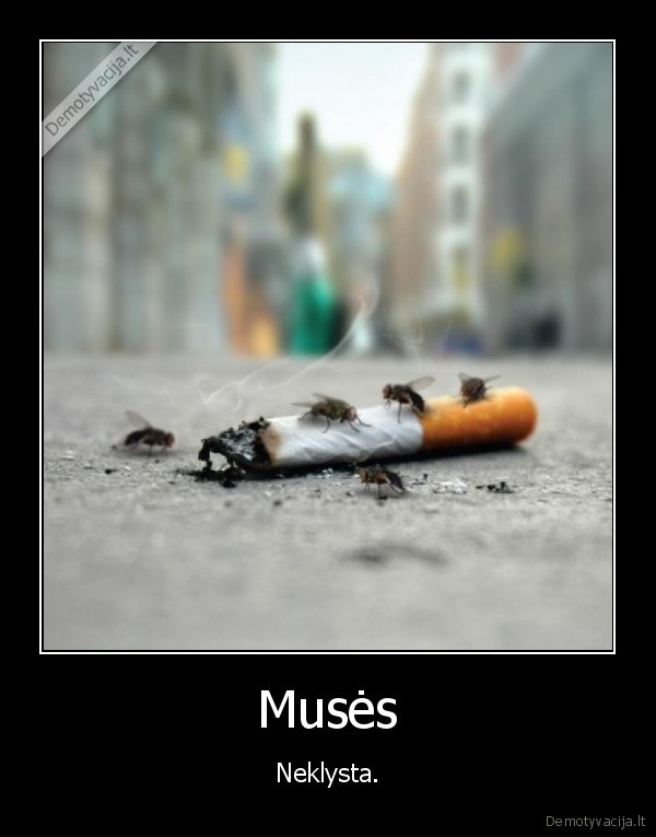 muses,cigaretes