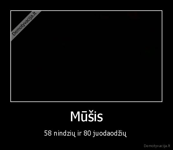 Mūšis