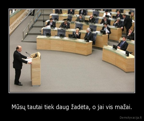 seimas, pazadai, tauta, lietuva