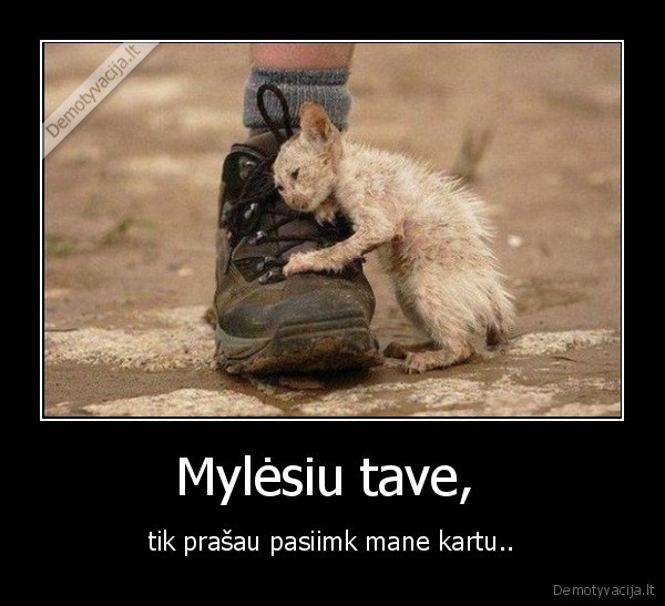 Mylėsiu tave, 