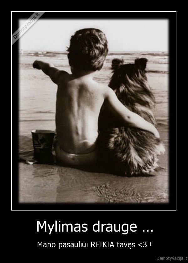 Mylimas drauge ...