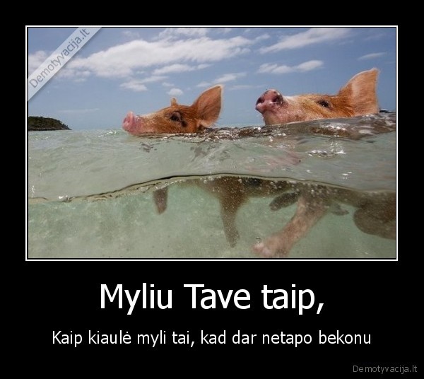 Myliu Tave taip,