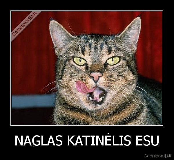 NAGLAS KATINĖLIS ESU